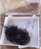 Lash by Holly 5D Premade Fan Lashes - Hand Made C Curl & D Curl 0.07 Thickness 9mm-15mm Length | International Shipping - Buy Online on GoSupps.com