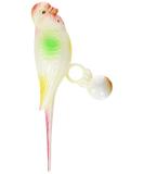 Rosewood Boredom Breaker Life Size Budgie Bird Toy Clear - Buy Online on GoSupps.com