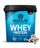 Bodylab24 Whey Protein Powder - Nut Crescents 2kg | Premium Quality Protein Supplement for Muscle Growth & Recovery - Buy Online on GoSupps.com
