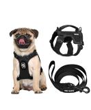 Oneigris Dog Harness & Leash Set | Mini Trooper Puppy Dishes for Extra Small to Medium Dogs - Black XS - Buy Online on GoSupps.com