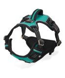 Dociote Anti-Pull Dog Harness for Medium & Large Dogs - Reflective Safety Harness with Handle - Turquoise (1 Pack) - Buy Online on GoSupps.com