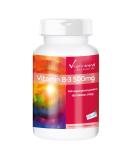 High Dose Vitamin B3 500mg - 180 Vegan Tablets - Nicotinamide - 6 Months Supply | Vitamintrend  - Buy Online on GoSupps.com