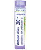 Boiron Raphanus Sativus 200CK Homeopathic Remedy for Abdominal Bloating & Gas Relief - 80 Pellets | International Shipping Available - Buy Online on GoSupps.com