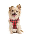 Heele Dog Harness - Adjustable Reflective Soft Mesh for Small & Medium Dogs | Breathable Plaid Red Design - Buy Online on GoSupps.com