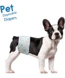 Scratche Super Absorbent Disposable Diapers for Males - Leakproof Protection for Urination & Incontinence | 40 Count Small White | Ship Internationally - Buy Online on GoSupps.com
