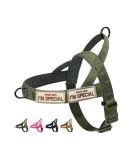 Buy Eeyfarog No Pull Dog Harness for Small & Medium Dogs - Adjustable Reflective Safe & Comfortable - XL Green - International Shipping Available - Buy Online on GoSupps.com