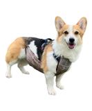 Waterproof Pet Dog Belly Vest Jacket - Grey Grid Medium | Lightweight & Breathable Cover for Rain, Snow, and Mud - Buy Online on GoSupps.com
