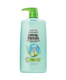 Garnier Whole Blends Coconut Water & Aloe Vera Hydrating Conditioner 26.6 fl. oz | Paraben-Free - Buy Online on GoSupps.com