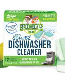 Heavy Duty Dishwasher Cleaner - Septic Safe Odor & Limescale Removal - 12 Unscented Tablets for 12 Month Supply - Buy Online on GoSupps.com