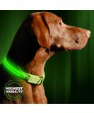 Illumiseen LED Dog Collar USB Rechargeable - Neon Green Large (L) 19-24 - High Visibility Light for Night Walking - Buy Online on GoSupps.com