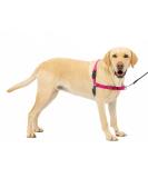 PetSafe Easy Walk Harness - Anti-Pull Dog Harness with 1.8M Leash | Reduces Choking & Coughing | Size L Pink | International Shipping - Buy Online on GoSupps.com