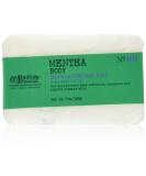 C.O. Bigelow Mentha Body Exfoliating Bar Soap 7.0 oz - Refreshing Exfoliant for Soft Skin | Buy Internationally - Buy Online on GoSupps.com