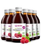 Buy Organic Raspberry Juice 6 Pack (6x250ml) - Pure Cold-Pressed Vegan No Sugar No Preservatives - Berriespolska  - Buy Online on GoSupps.com