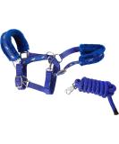 Equine NEW Horse print fur padded headcollars halter + matching lead ROYAL BLUE (COB) - Buy Online on GoSupps.com