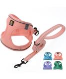 Buy Bella & Pal Step-In Dog Harness for Small Dogs - Reflective Breathable Air Mesh with Leash | XS Coral Pink (30-35cm) - Perfect for Puppies & Cats - Buy Online on GoSupps.com