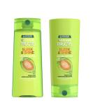 Garnier Fructis Sleek and Shine 22 fl oz - 1 Shampoo + 1 Conditioner (Family Size) - Buy Online on GoSupps.com