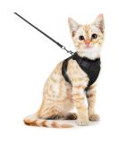 SOKANA Cat Harness and Lead Set for Walking Escape Proof - Lightweight Secure Kitten Harness and Lead Set also for Dogs Puppy Pet Small Size | Black - Buy Online on GoSupps.com