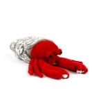 Zappi Co Hermit Crab Plush Toy - Safari Animals Collection (25cm) - Buy Online on GoSupps.com