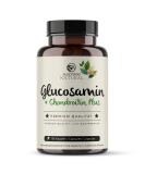 Glucosamine chondroitin high -dose 195 capsules high -dose with 1500 and 1200 mg per daily dose sufficient for 2 months without additives and laboratory tests in Germany 195 produces (1 Pack) - Buy Online on GoSupps.com
