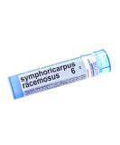 Buy Boiron Symphoricarpus Racemosus 6C - Natural Homeopathic Remedy for Optimal Health | International Shipping Available - Buy Online on GoSupps.com