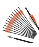 REEGOX Crossbow Bolts 16/18/20 inch Bio Crossbow Arrows with Moon Nocks and Removable Tips (Pack of 12) 20"-Orange - Buy Online on GoSupps.com