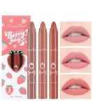 Buy New Matte Lipstick Set - 3 Colors Velvet Crayon Lipstick for Women | Long Lasting 24 Hour Superstay Lip Gloss - Non-Sticky Makeup Set C - Buy Online on GoSupps.com