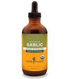 Organic Garlic Liquid Extract for Cardiovascular Support - 4oz | Herb Pharm - Buy Online on GoSupps.com