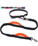 Vivaglory Free-Handed Dog Leash | Double Anti-Shock Bungees & Padded Handles | Reflective Waist Running Leash for Training & Jogging | Fits Waist 65-112cm | Black/Orange - For Medium & Large Dogs - Buy Online on GoSupps.com