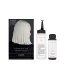 Kristin Ess Platinum Icy Translucent Ash Hair Gloss - The One Signature Formula - Buy Online on GoSupps.com