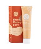 True Moringa Shea & Moringa Balm | Scar & Stretch Mark Repair | Intensive Hydrating Cream for Dry & Sensitive Skin | Unscented | 2oz - Shop Now - Buy Online on GoSupps.com