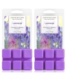 LA BELLEFE Wax Melts Wax Cubes, Lavender Scented Wax Melts for Warmers, Natural Soy Wax Melts Birthday Gift Set, Scent Wax Cubes for Weddings, Parties, Spa, Meditation (2.5oz/70.9g*2) - Buy Online on GoSupps.com