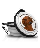 Portable Silicone Dog Bowl for Dachshunds - Lightweight & Foldable with Carabiner Hooks | Ideal for Walks & Hikes - Buy Online on GoSupps.com