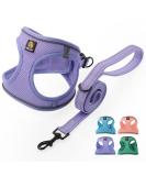 Bella & Pal Dog Harness for Small Dogs - Step-In Air Mesh Reflective Leash & Dishes - Breathable Puppy & Cat Gear (Lavender Size L - 42-50cm) - Buy Online on GoSupps.com