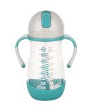 DentiStar Strohhalmbecher 260 ml - Baby Bottle with Dynamic Straw for 6 Months+ | Anti-Slip Design & Cleaning Brush | BPA Free Mint - International Shipping Available - Buy Online on GoSupps.com