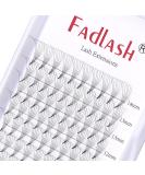 Eyelashes fan 6d 0.05mm d curl 8-14mm eyelashes extensions russian eyelashes prefabricated fan premade russian lashes pennant lexensions (6d-0.05d mix8-14) Mix (8-14) 6D-0.05-D - Buy Online on GoSupps.com