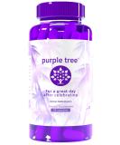 Purple Tree Celebration Recovery Pills - DHM, Milk Thistle, Electrolytes, Vitamin B - 90 Pills for Better Mornings, Happy Liver & Rapid Hydration - Buy Online on GoSupps.com