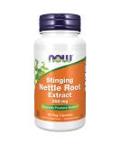 Now Foods Stinging Nettle Root Extract 250 mg 90 Veg Capsules - Buy Online on GoSupps.com