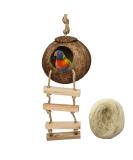 Hanging Bird House with Ladder | Natural Coconut Fiber Shell Nest for Parrots, Parakeets, Lovebirds, Finches, and Canaries | Bird Swing Toy for Hamsters | Pet Bird Cage Accessories - Buy Online on GoSupps.com