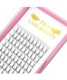 Premade Fans Eyelash Extensions 5D 3D 7D 8D 10D Short Stem Premade Volume Eyelash Extensions 3D 5D 7D Volume Lash Extensions .07 .10 Pre made Lash Fans C D Curl 9-15 MIX(5D-D-0.10 9-15mm) 9-15 mix 5D-D-0.10 - Buy Online on GoSupps.com