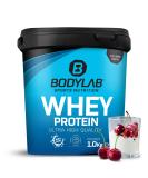 Bodylab24 Whey Protein Powder - Cherry Yoghurt 1kg | High Quality Protein Supplement for Muscle Growth - Buy Online on GoSupps.com