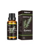 Rosemary Essential Oil - 100% Natural Aromatherapy Oil for Diffuser Humidifier Massage & Skin Care - 1.01 fl oz - Buy Online on GoSupps.com