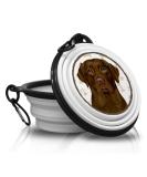 Portable Brown Labrador Dog Bowl - Foldable Drinking Bowl with Carabiners | Unique & Handy Travel Pet Accessory - Buy Online on GoSupps.com