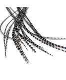 Grizzly Real Feather Hair Extensions - Set of 5 Feathers - Buy Online on GoSupps.com