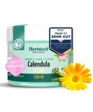 Herbiovit vegan marigold ointment with chamomile jojoba oil panthenol wound and healing ointment anti -inflammatory |Fire ointment for burning sunburn |Wound protection cream baby adults |250ml natural cosmetics - Buy Online on GoSupps.com
