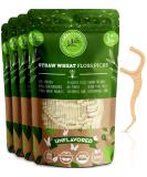 Unflavored Dental Floss Picks - Biodegradable Plastic Free Tooth Flosser for Adults & Kids | Unwaxed Eco Friendly Thin Thread | Zero Waste Toothpick Stick Soft On Gum & Teeth | Natural Organic Vegan Unflavored 50 Count (Pack of 4) - Buy Online on GoSupps.com