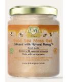 Sea Moss Gel x Raw Honey - St Lucian 'Gold' Wildcrafted Seamoss Infused with Natural Honey | Hand Made | UK Made | Organic | Immune Support | Dr Sebi | 510ml | Pack of 1 510.00 ml (Pack of 1) - Buy Online on GoSupps.com