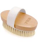 Wet and Dry Body Brush Exfoliator by Scala Beauty | Soft Bristle Brush for Smooth, Radiant Skin - Exfoliates Dead Skin, Reduces Cellulite, Stimulates Blood Flow | 5 x 2.75 in Dry Brush - Buy Online on GoSupps.com