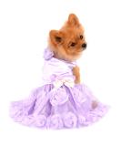 Luxury Summer Dress for Small Dogs & Cats - Paidful Rose Lace Tutu Party Dress for Chihuahua - Purple Bowknot Wedding & Birthday Outfit - Buy Online on GoSupps.com