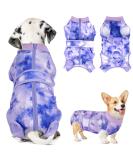 Buy Slowton Dog Recovery Suit - Soft Breathable Anti-Wound Protection for Male Dogs | E-Neck Band & Zipper XS Tie-Dye Purple - International Shipping Available - Buy Online on GoSupps.com