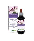 South African Geranium Root Mother Tincture 200ml - Alcohol-Free Natural Extract | Vegan Supplement | Liquid Drops by Naturalma - Buy Online on GoSupps.com